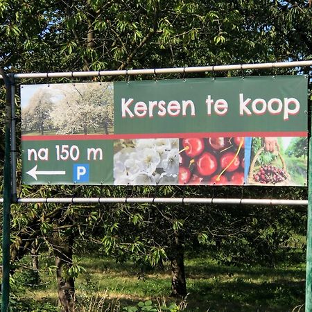 Buren  Gastenverblijf Op De Prins Hendrik Hoeve In Buren מראה חיצוני תמונה
