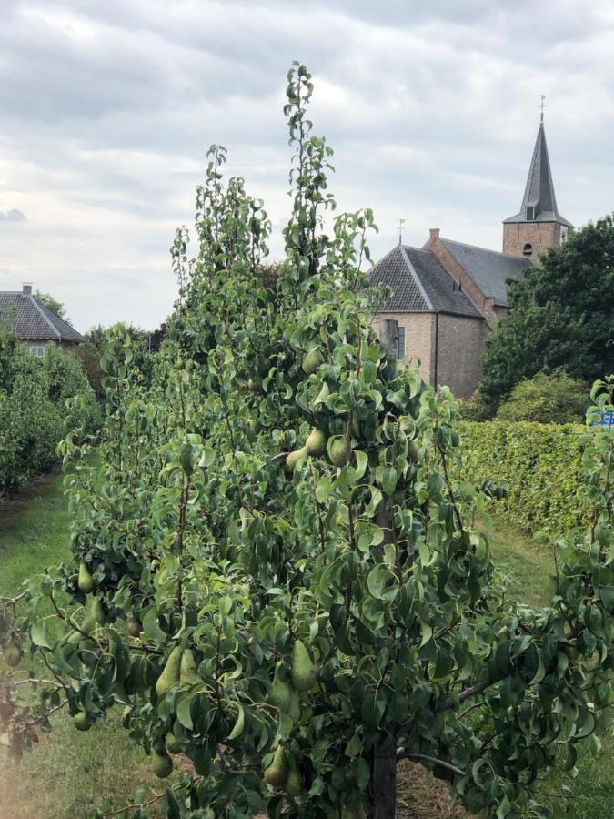 Buren  Gastenverblijf Op De Prins Hendrik Hoeve In Buren מראה חיצוני תמונה