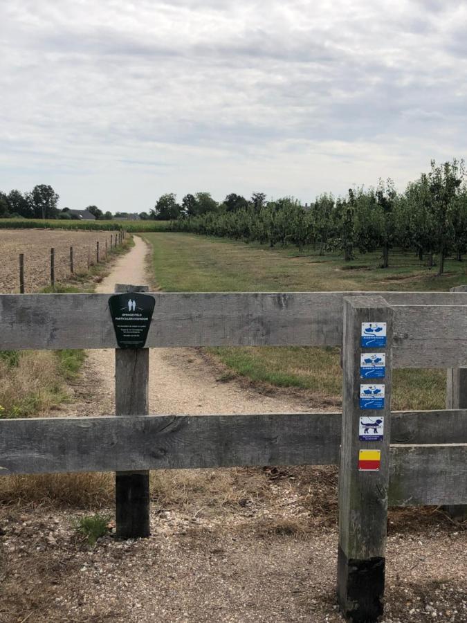 Buren  Gastenverblijf Op De Prins Hendrik Hoeve In Buren מראה חיצוני תמונה